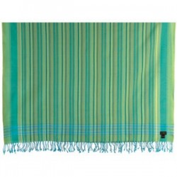 Swara Aqua Green Multi-Striped